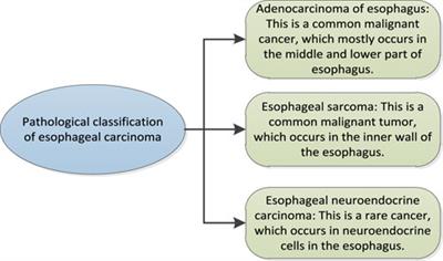 Correlation of GDFT combined with rehabilitation therapy in DNA damage repair of esophageal cancer cells